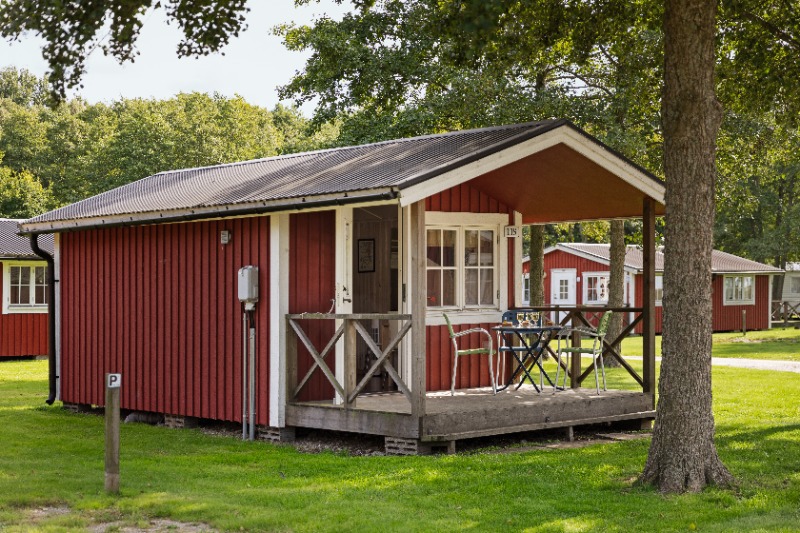 Typ 1